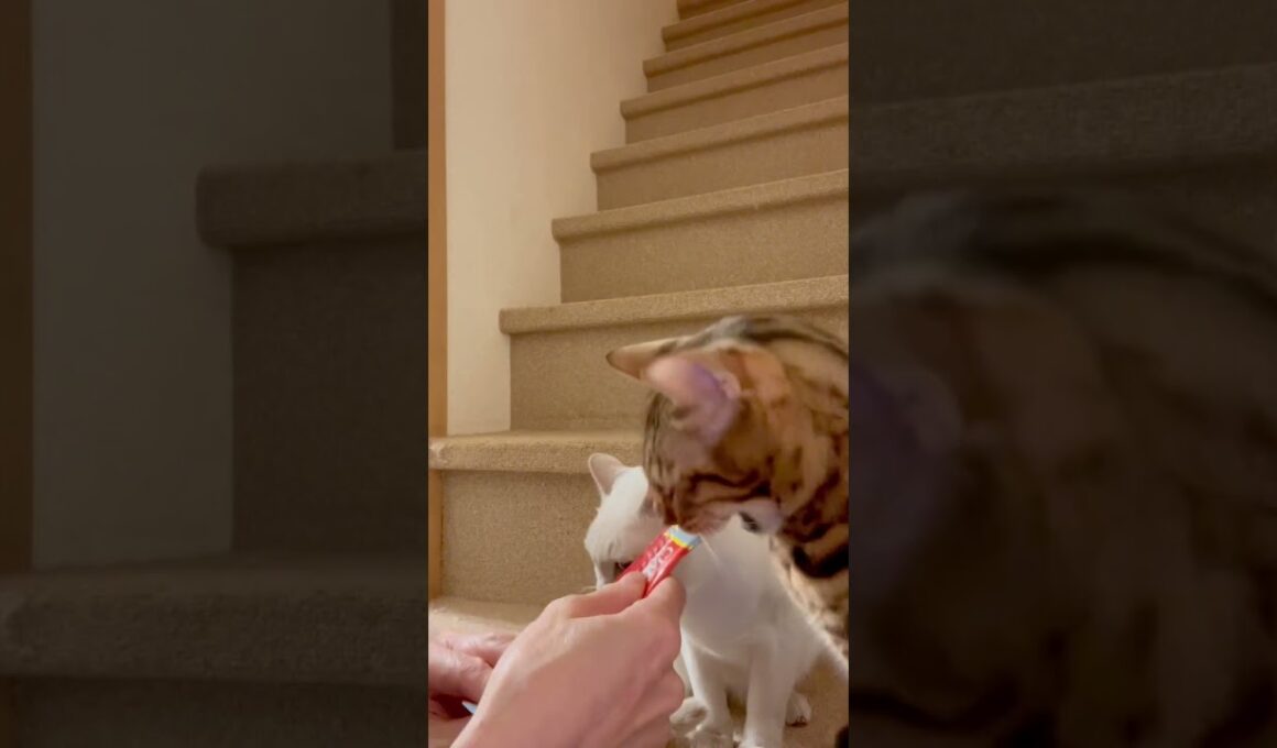 Our moment of happiness😋きみと僕で半分こ。