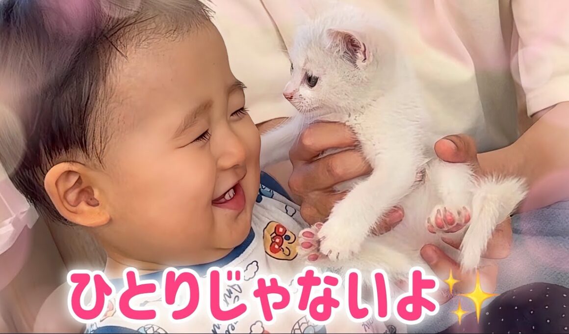 【子猫と赤ちゃん】白血病陽性の子猫にできた､初めての友達✨