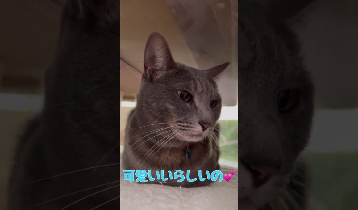 可愛いく撮れてる⁉️あたち眞魚(まお)りんよ💓