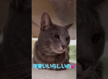 可愛いく撮れてる⁉️あたち眞魚(まお)りんよ💓