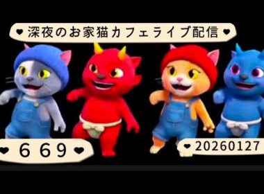 深夜のお家猫カフェライブ配信 ６６９