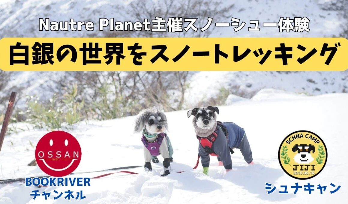 【お出掛け】白銀の世界をスノートレッキング　”Nature Planet主催スノーシュー体験”