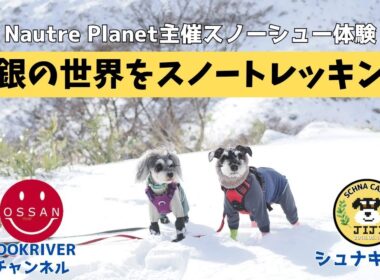【お出掛け】白銀の世界をスノートレッキング　”Nature Planet主催スノーシュー体験”
