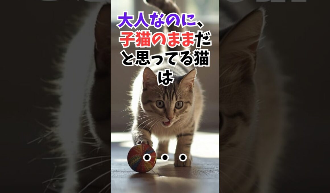 家の子は当てはまる？子猫気分が抜けない猫の特徴 #人類ねこ同盟 #子猫 #猫#猫のきもち