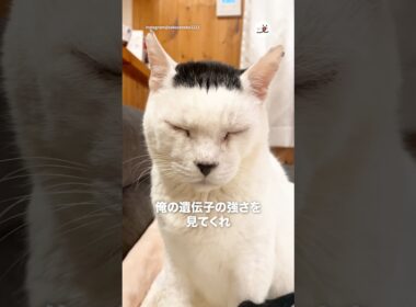 遺伝子の強さよ｜PECO