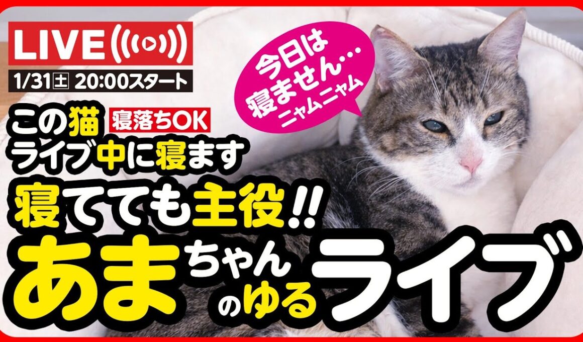 🔴あまちゃんのゆるライブ！