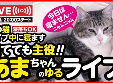 🔴あまちゃんのゆるライブ！