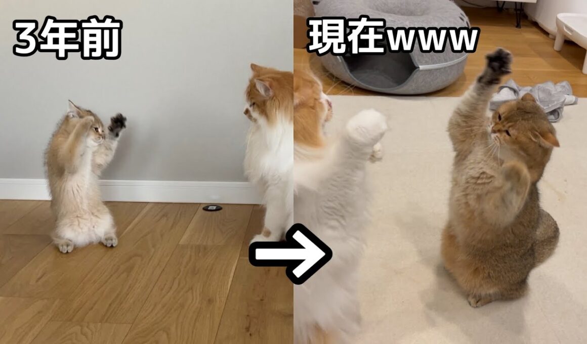 あのバズり動画から3年なのにこんなに変わらないことある？www