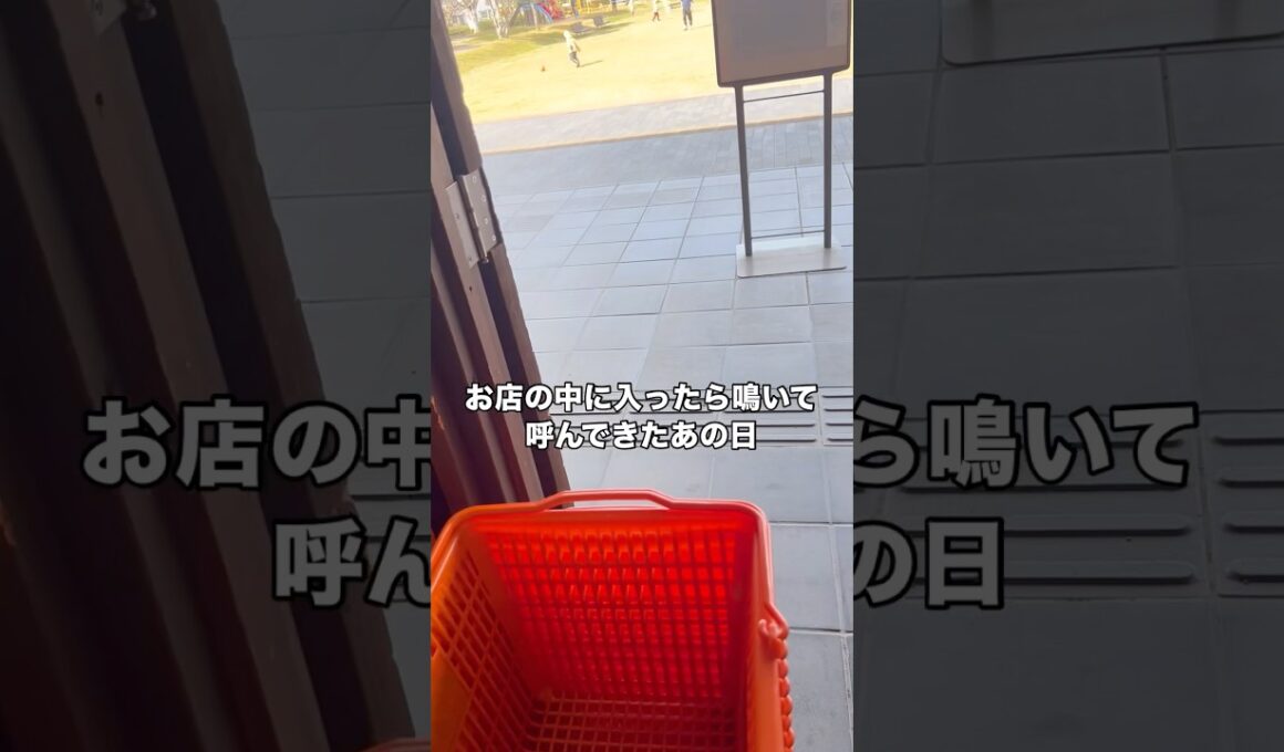 店内に入ったら鳴いて呼んでた。初めて君に出会った日のこと。#保護猫 #野良猫 #子猫 #黒猫