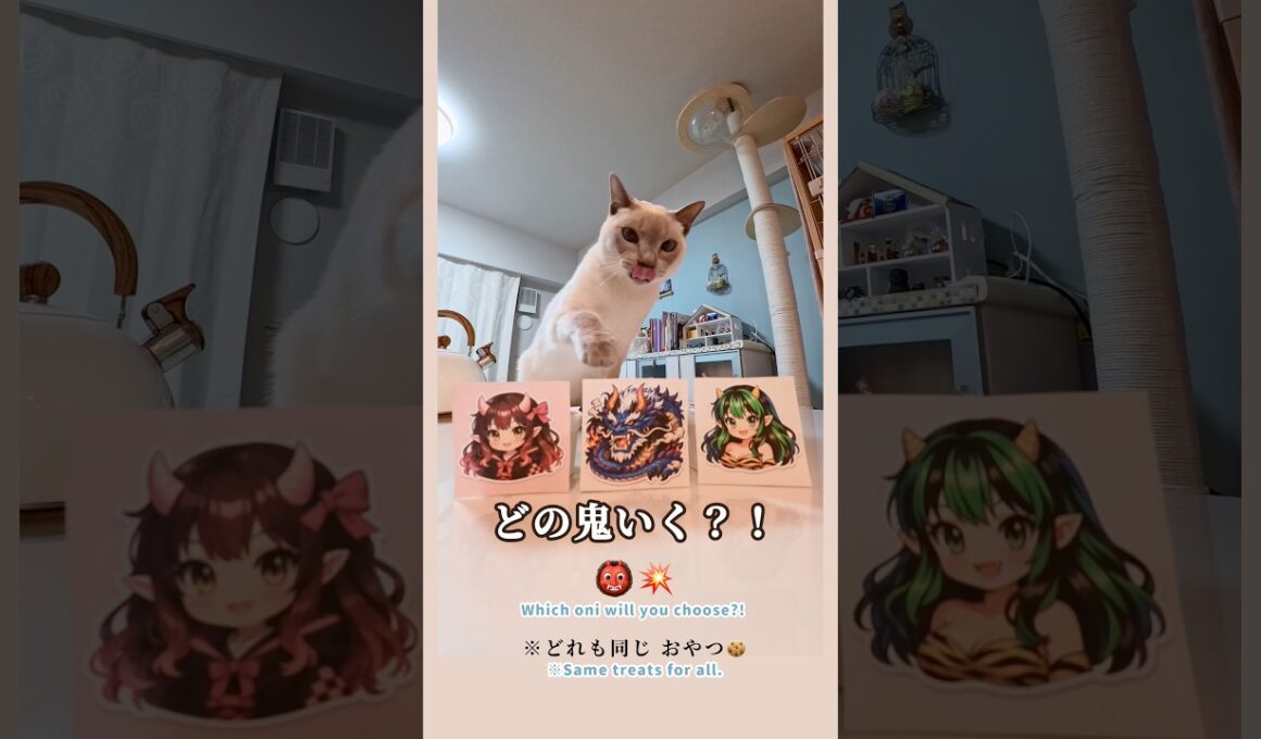 猫はどの鬼選ぶ！？👹🌸🐲⚡️｜節分