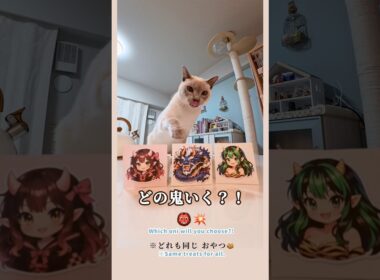 猫はどの鬼選ぶ！？👹🌸🐲⚡️｜節分