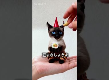 マロンちゃんの節分👹#cat #catshorts #シャム猫 #しゃむねこ#ねこのいる暮らし #ねこのいる生活