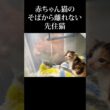大丈夫だよ #うにむぎはち #子猫