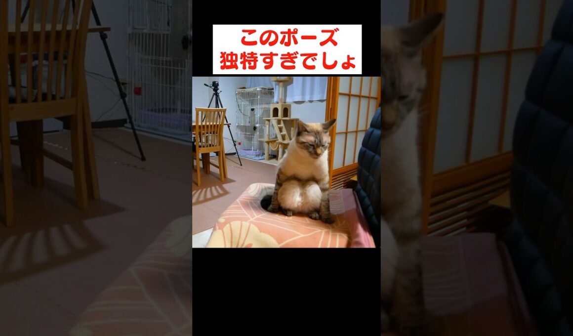 盗撮してたらたまたま撮れました