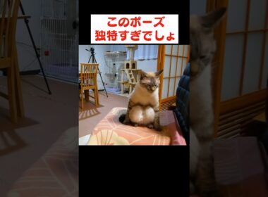 盗撮してたらたまたま撮れました