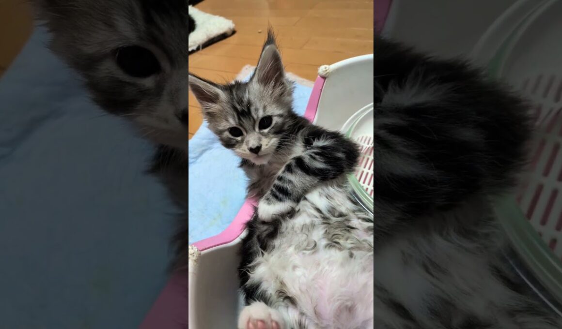 外は雪だけどお風呂は気持ち良いね❗