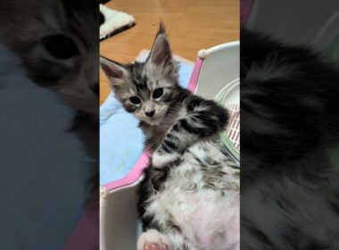 外は雪だけどお風呂は気持ち良いね❗