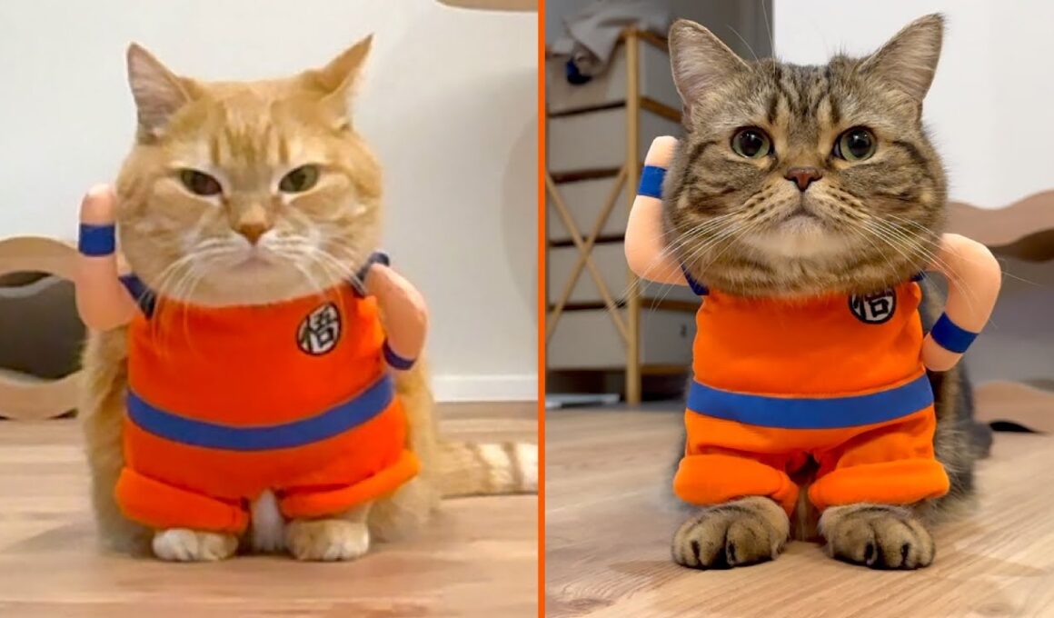 ふたりの２頭身悟空が可愛すぎた！