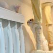 カーテンレールに飛び乗って降りられなくなった子猫を見つけた先輩猫の対応が神すぎました…