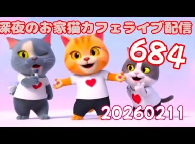 深夜のお家猫カフェライブ配信 ６８４