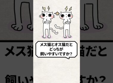 Q：メス猫とオス猫だとどっちが飼いやすい？ #猫 #猫のいる暮らし #ねこ