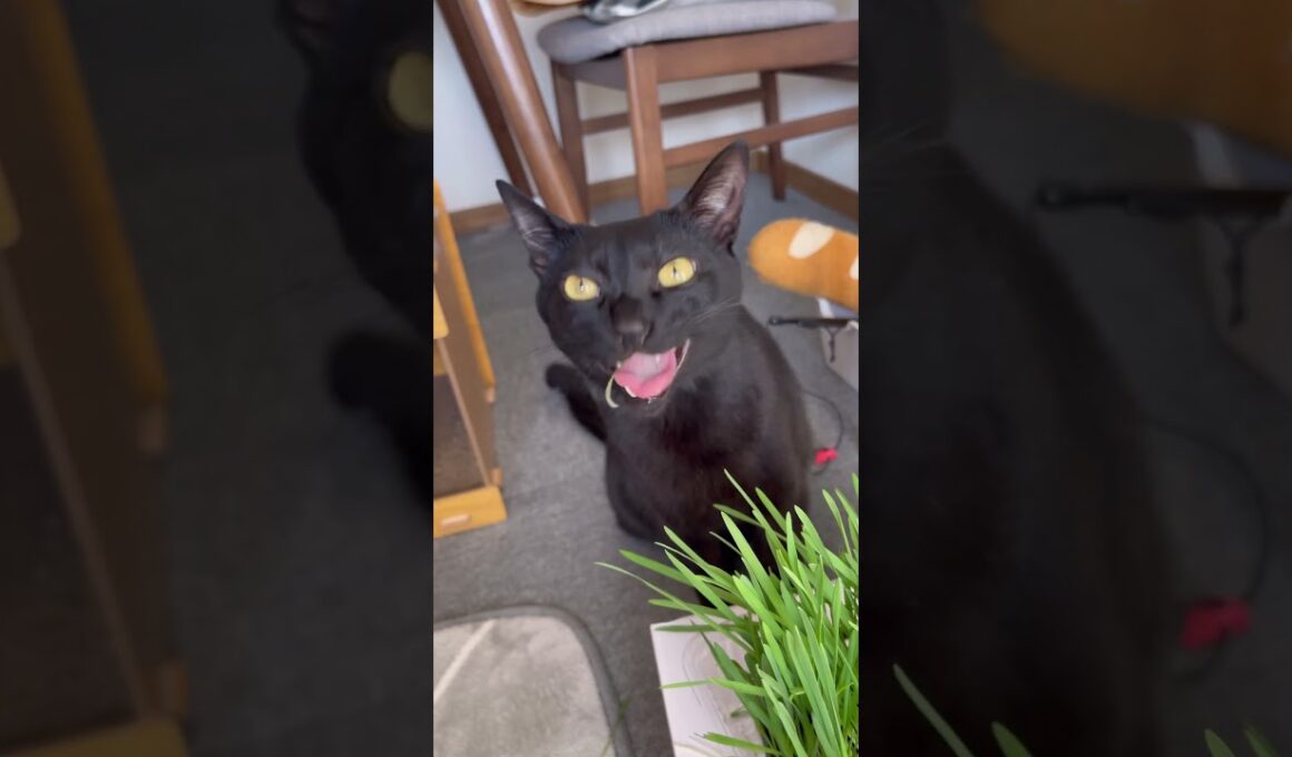 排出しようと一生懸命！