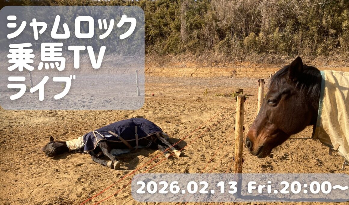 シャムロック乗馬TVライブ！/近況報告と告知