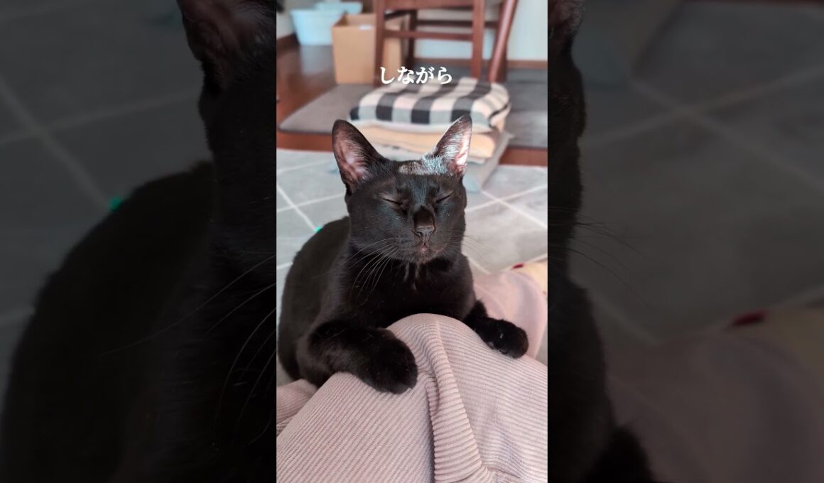 まどろみながらも待ってます