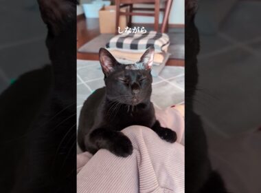 まどろみながらも待ってます