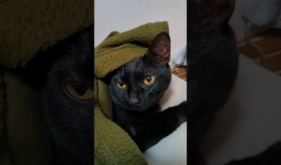 寝相のおてても寝起きもどっちもかわいい！