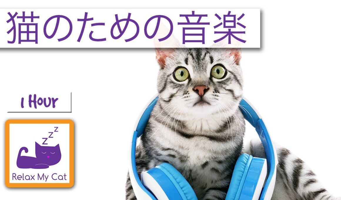 シャム猫のためのリラクゼーション音楽