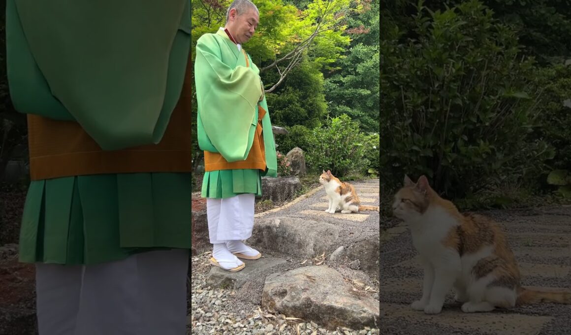 取材中の一コマ