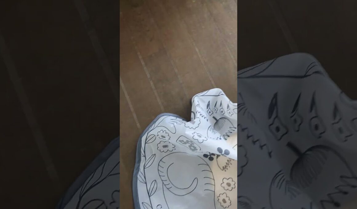 キャッチミーイフユーキャン2の間違った使い方/Incorrect use of "Catch Me If You Can 2".#保護猫 #ターキッシュバン #Turkish Van