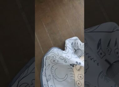 キャッチミーイフユーキャン2の間違った使い方/Incorrect use of "Catch Me If You Can 2".#保護猫 #ターキッシュバン #Turkish Van