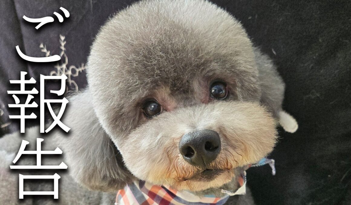 【ご報告】非常に残念なお知らせがあります...