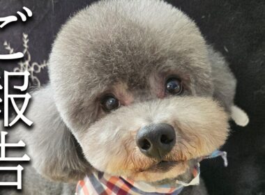 【ご報告】非常に残念なお知らせがあります...