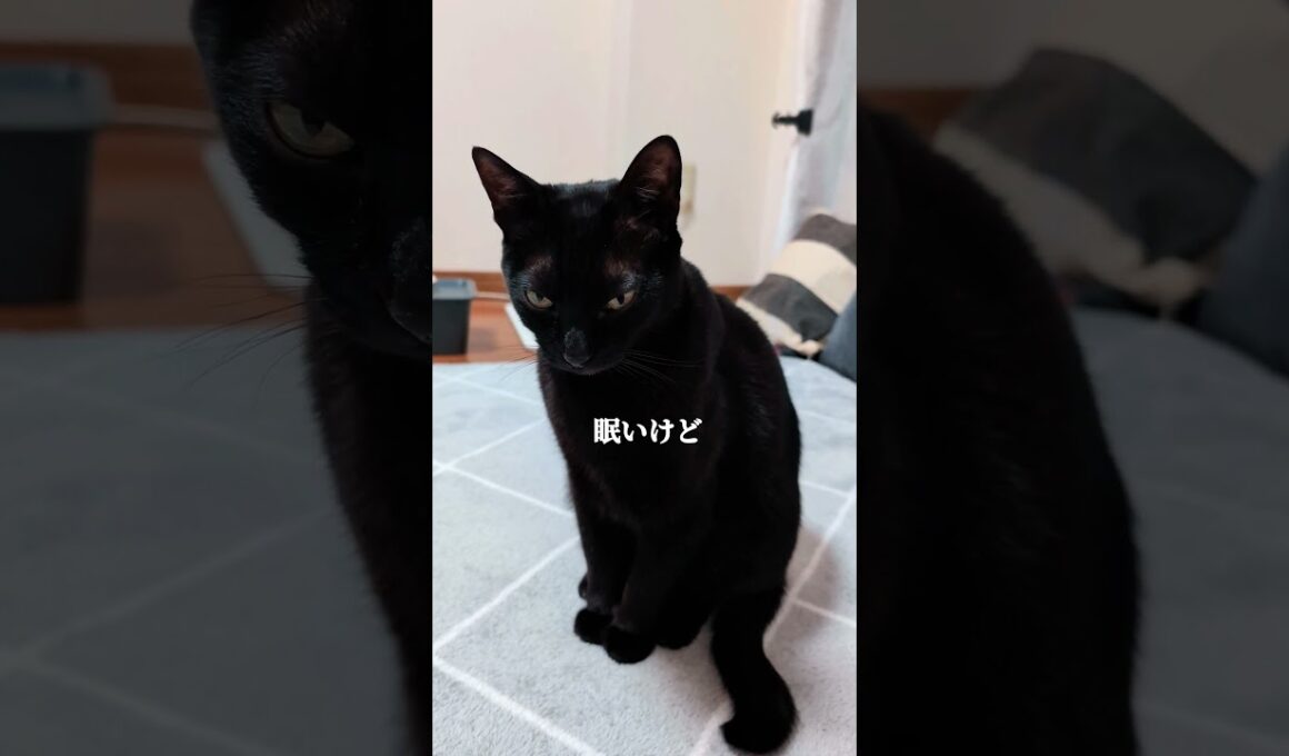 眠いのに寝ない子