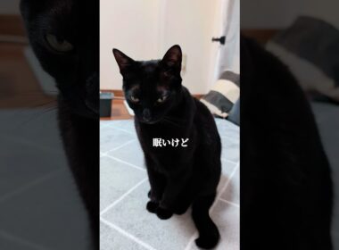 眠いのに寝ない子