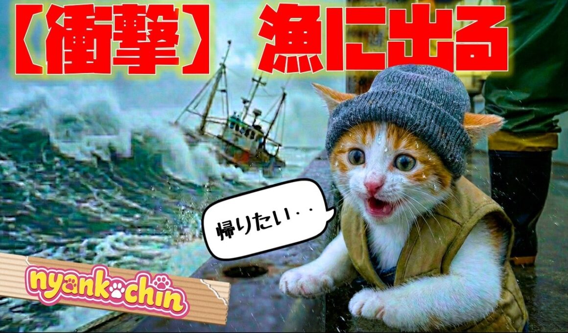 【衝撃】海の上は逃げ場なし。「帰りたい」と震える子猫が、最後に手にした『まさかの報酬』！【AI猫にゃんこちん】
