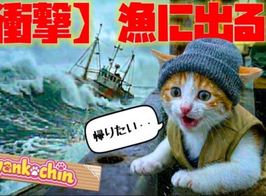 【衝撃】海の上は逃げ場なし。「帰りたい」と震える子猫が、最後に手にした『まさかの報酬』！【AI猫にゃんこちん】