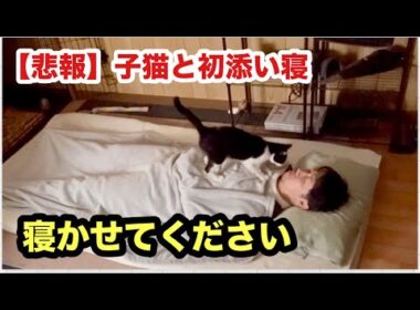 愛が痛い💥子猫との初添い寝💕
