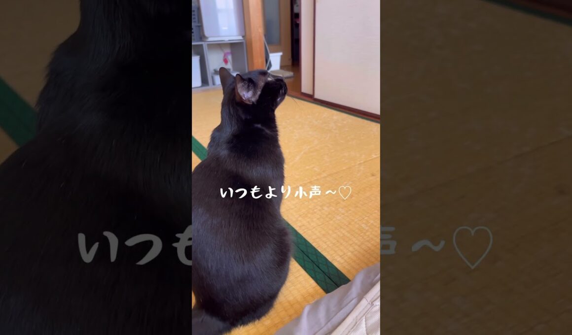 振り向き可愛いかすれ小声