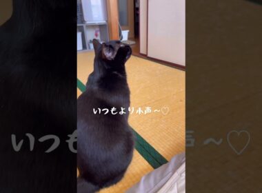 振り向き可愛いかすれ小声