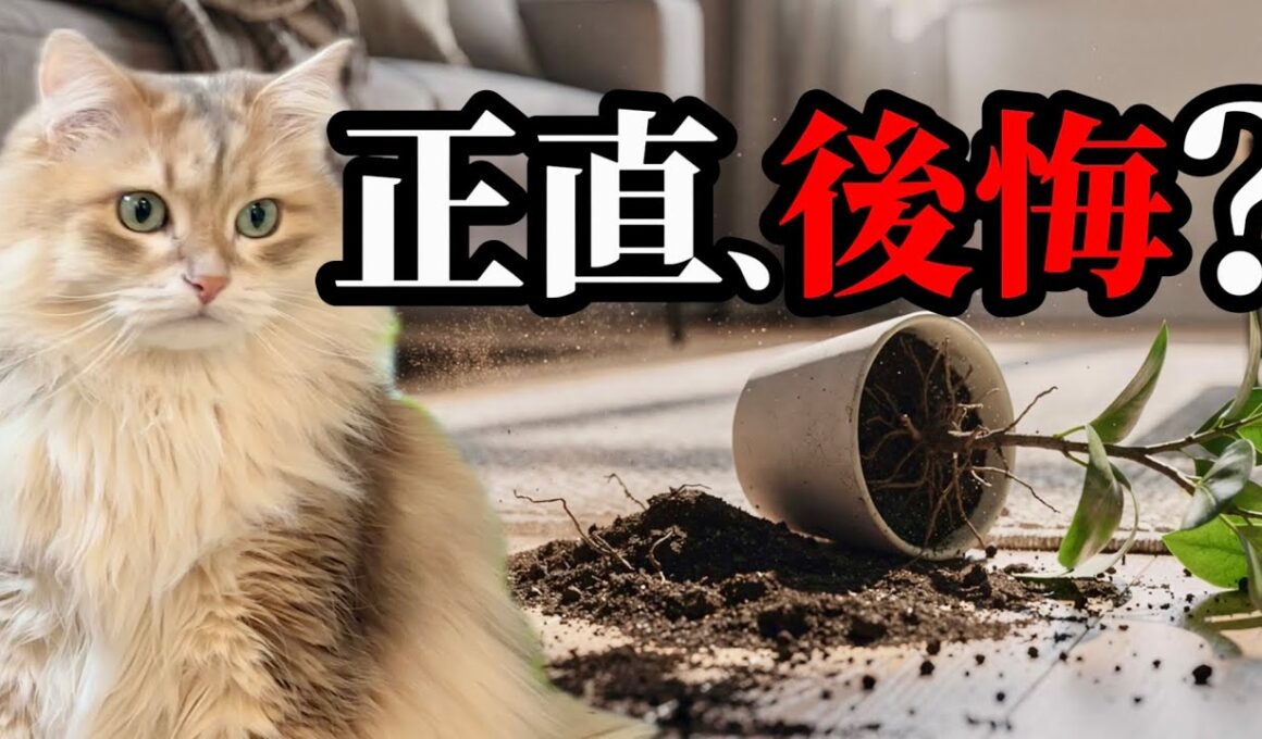 サイベリアン飼って後悔した？正直に全部話します