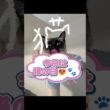 今日は猫の日😻🐾シャム猫☆マロンちゃん #cat #catshorts #しゃむねこ #シャム猫 #ねこのいる暮らし #ねこのいる生活 ＃猫の日