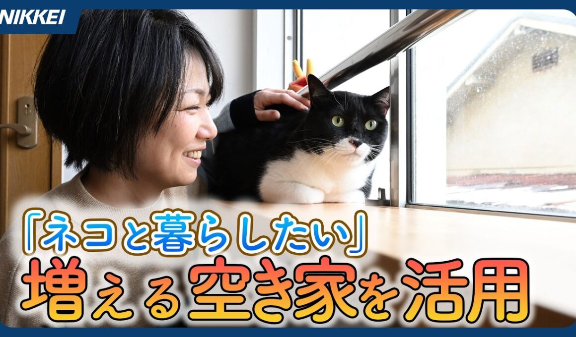 【猫可物件】空き家対策にネコの手借りる　多頭飼育OKで愛猫家に賃貸【空き家を活用】