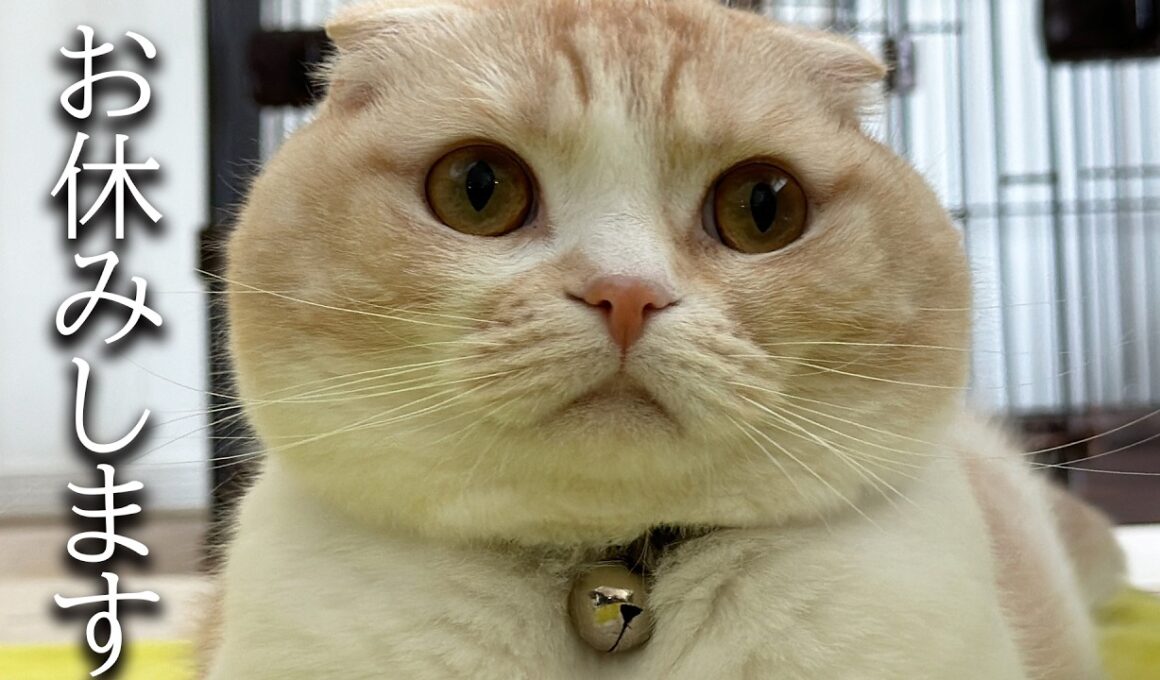 突然ですがお休みすることになりました...