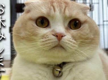 突然ですがお休みすることになりました...