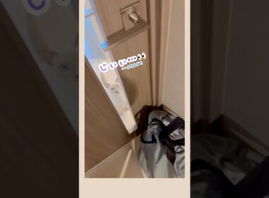 【猫の鳴き声】帰ってくるのを待ってたラクトくん🐾