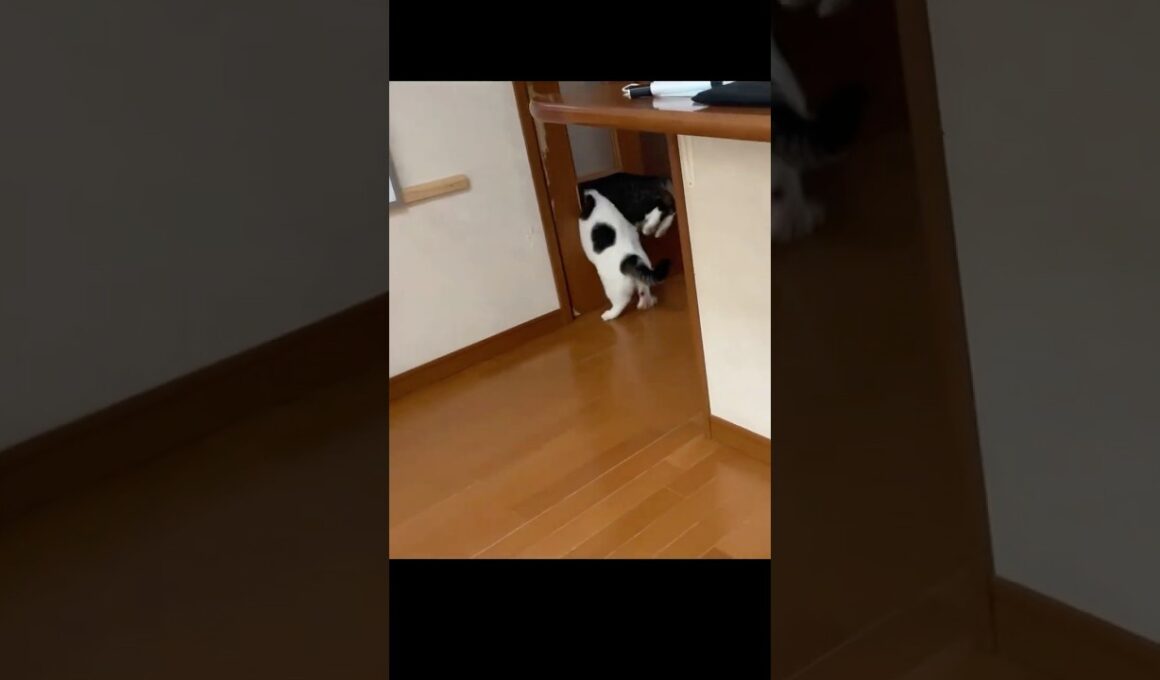 昨日のパニックを見て思い出したこと